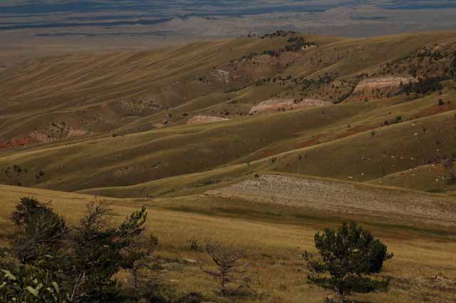 scenic highway 296
